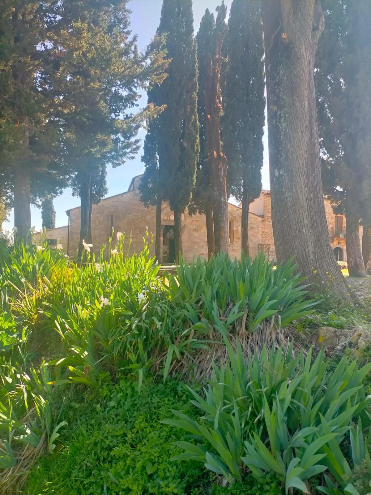Cielo - Antica Casa Sulla Via Francigena Villa ซานจีมิญญาโน ภายนอก รูปภาพ