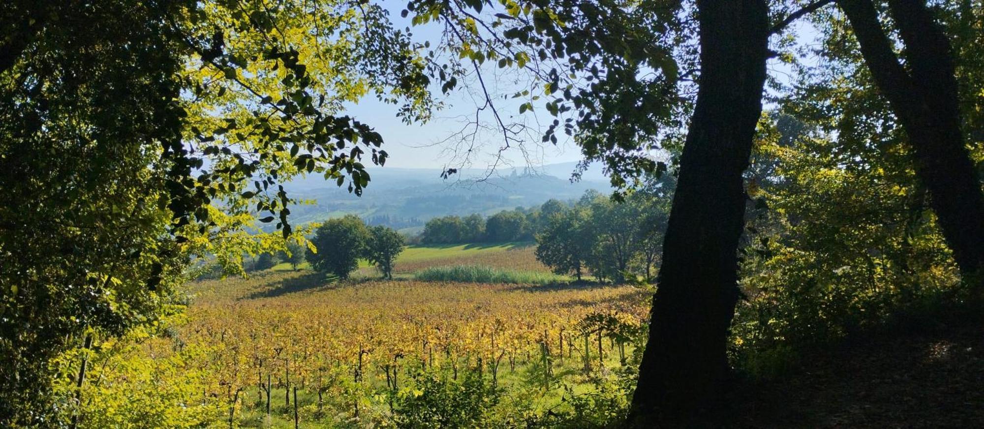 Cielo - Antica Casa Sulla Via Francigena Villa ซานจีมิญญาโน ภายนอก รูปภาพ